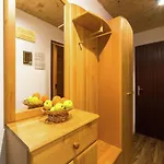 Apartamento In Nahe Skilift